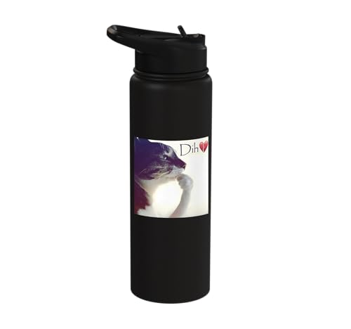 Dih funny thinking cat meme silly brainrot kitten Stainless Steel Insulated Water Bottle