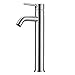 Rubinetto Lavabo Bagno Alto, Rubinetti Lavabo Miscelatori da Piano, Monocomando, Miscelatore Acqua Calda e Fredda, Acciaio Inox Cromato, Monoblocco Alti