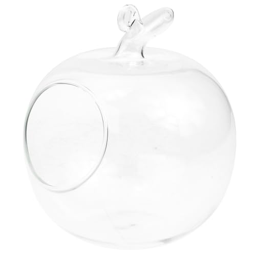 DECHOUS Vase en Verre Pomme Vase Hydroponique en Verre Transparent pour La Maison Micro Paysage AméNagement Paysager Artisanat Ornements