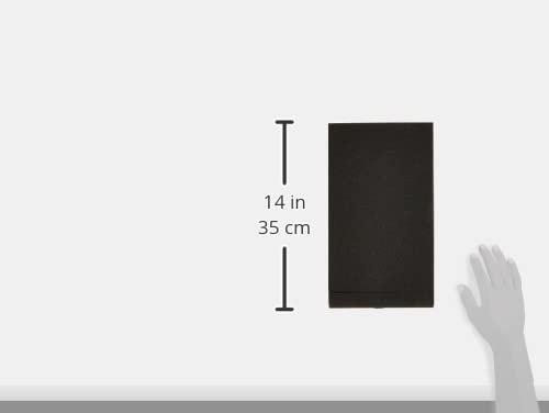 Unbekannt Hall Stands PAD ECO 1 - Absorberplatte für Studio Monitor 170 x 300 mm, SPADECO1