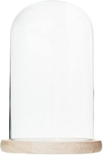 SLLS KXh[ ؐx[X KXJo[ fBXvC h[ N[VF i CeA u