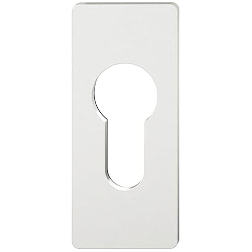 FSB Rosette eckig 171768 - Schlüsselrosette für PZ Schloss - Rosette Zylinder flach zum Kleben, Aluminium silber eloxiert