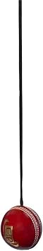 Cricket Practice Ball Attached with String for Knocking and Middling Cricket Batting Drives