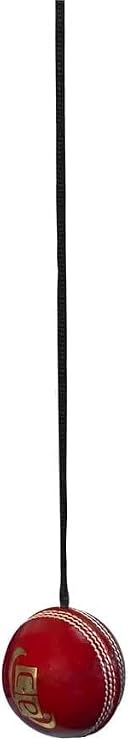 Cricket Practice Ball Attached with String for Knocking and Middling Cricket Batting Drives