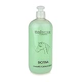  Brische Champú Biotina 500ml