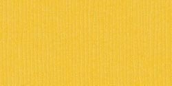 Feuille Bazzill Cardstock 8.5"X11" Grass Cloth haute qualité