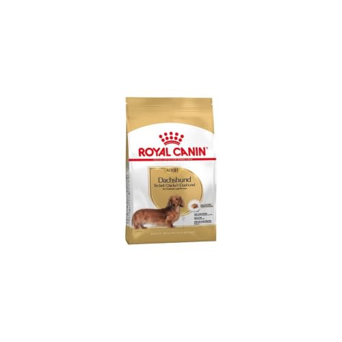 Royal Canin Dachshund 28 Adult Hundefutter 7.5 kg, 1er Pack (1 x 7.5 kg)