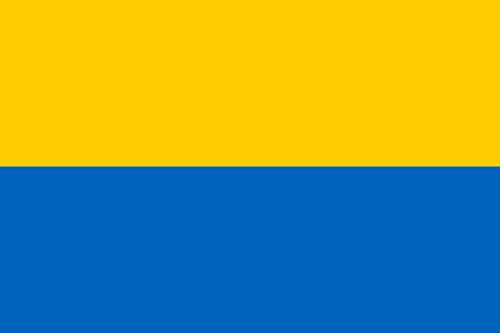 Vlag Bodegraven-Reeuwijk grand format drapeau de municipalité hollandaise - 2