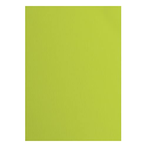 A4 Texture Florence Cardstock Canvas, 10-Piece, Lime
