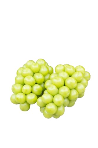 (2026年発送 先行受付)農福連携 シャインマスカット2房(合計1kg程度)