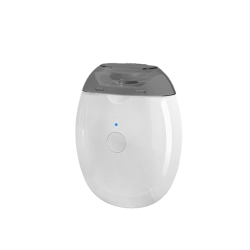 Fiocias �d���ܐ؂� ��� �܃J�X���[�t�� ��l ����Ҍ���