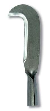 Flores Cortés - Tajamata mlo. co