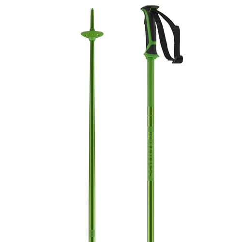 Salomon Arctic Bastones de aluminio para esquí y deportes de invierno Unisex, Ligereza, Resistente, Esquís en colores coordinados