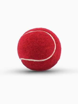 NE NEPTUNE Sports Red Ball for Cricket and Tennis Game| Rubber Cricket Tennis Ball Heavy Weight Tennis Practice Ball | Proplay Cricket Practice Ball Pack of 1 (B0CTY3V6W7) Amazon Price History, Amazon Price Tracker