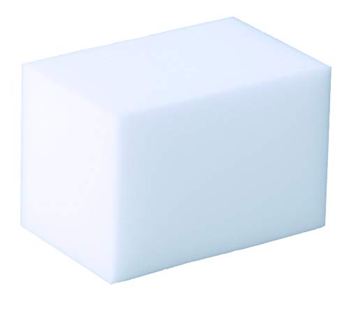 PoolSpezi BAYROL 411028 Water Line Cleaning Sponges Model 2020