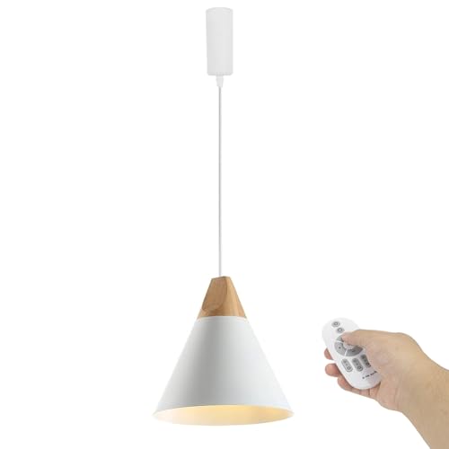 Kiven �����R���t�� �������F �y���_���g���C�g �_�N�g���[���� �������߉� �R�[�h���[�R�b�v�t�� �C���e���A�Ɩ� �k�� �y���_���g�����v ������� �C���e���A�p �Ɩ���� �V��Ɩ� �݂艺�� ���C�g E26 �L�b�`�� �d�C �_�N�g���[�������C�g ���a