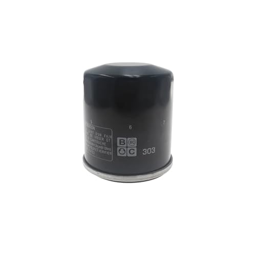 Kit de filtration complet avec filtre à huile 2520799 et filtre à air 7080595