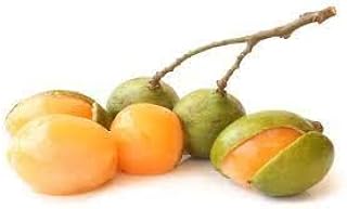 Five+ Spanish Lime for Planting - Grow Mamoncillo, Limoncillo, and More | Easy-to-Grow and Nutrient-Rich Seeds - Organic, Tropical Fruit Tree Seeds - Ideal for Home Gardening, Five (5)