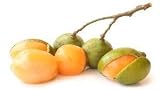 Five+ Spanish Lime for Planting - Grow Mamoncillo, Limoncillo, and More | Easy-to-Grow and Nutrient-Rich Seeds - Organic, Tropical Fruit Tree Seeds - Ideal for Home Gardening, Five (5)