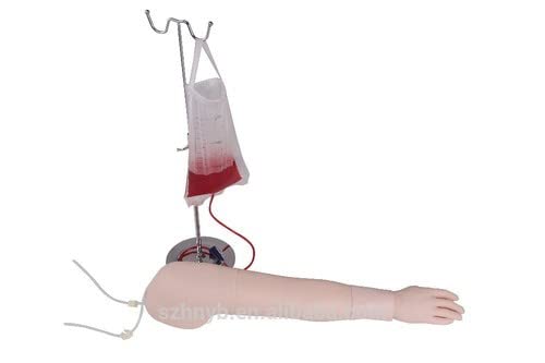 AjantaExports Multifunctional Intravenous Injection Arm Model-image-39