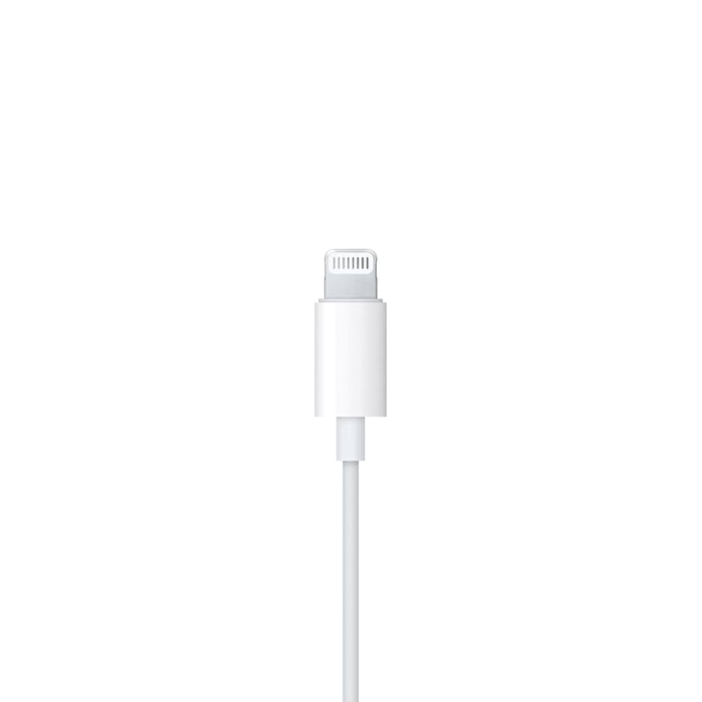 21tmpwzldyL._UF1000,1000_QL80_.jpg
