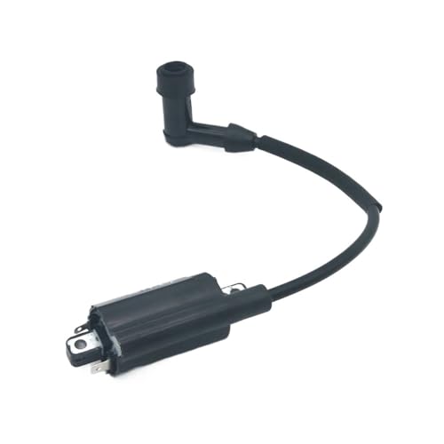 Bobina de encendido magneto 2451902S para un arranque inmediato en motores K CH26 4