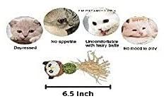 PSK-PET-MART-Natural-Attractive-Mint-Fragrance-Funny-Playing-Catnip-Toy-for-KittenCats-Owl-with-Ball