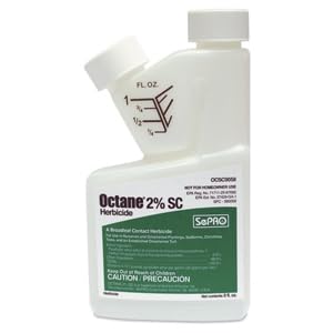 Octane 2% SC Insecticide, 8 oz