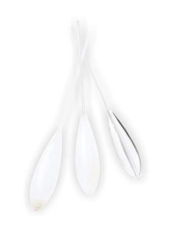 Fladen Bomb Float, Sbirolino mit Gewichten von 15g - 35g, DREI Varianten verfügbar schwimmend, langsam sinkend und sinkend (sinkend, 30g)