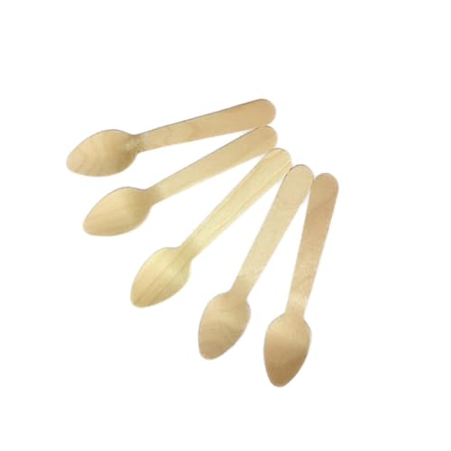 Generic 100 ؐACXN[Xv[ |f ? ACXfU[gɍœK ďvȓVRXv[