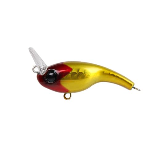 �l�H�a �t�b�N�t�� �C���ނ胋�A�[ �~�m�[ �V���L���O�� 5cm �N�����N�x�C�g �o���L�x�Ȓނ�l���A�[