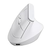 Sxhlseller Vertikale Maus, 2,4 G Wireless Bluetooth 5.2 Ergonomische Maus mit RGB-Licht 800 1200 1600 DPI 6 Tasten Silent Click, für PC Laptop OS X (White)
