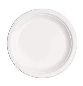 SWHF 10 inches Disposable Plates Pack of 25| Eco-Friendly Biodegradable Dinner Plates| for Serving Snacks, Dinner| Birthdays, Weddings & Parties