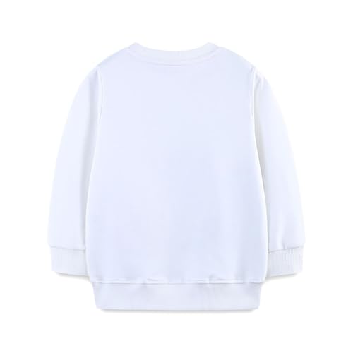 Boys Sweatshirts Casual Sweatshirts Cotton Sweatshirts Long Sleeve T-shirts Crew Neck Cartoon Tops for Boys-3792