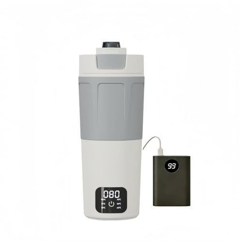 Gwrv �d�C�P�g�� ���^ 550ML�b�b�����^�� TYPEC+100-240V ���Ή��|�[�^�u�� �g���x���b���������|�b�g �|�b�g �������� �󕰂��h�~�b304�X�e�����X 6 �i���� ���s�E�Ԓ����E�I�t�B�X�p (�O���[ +TYPEC �����v���O 316)