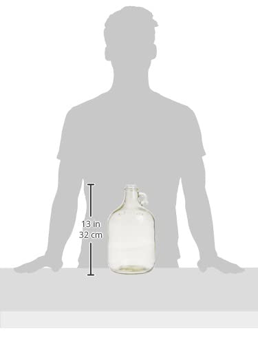 Fastrack Stopper/Airlock 1 Gallon Glass Fermenter/Jug, Clear #TOP5