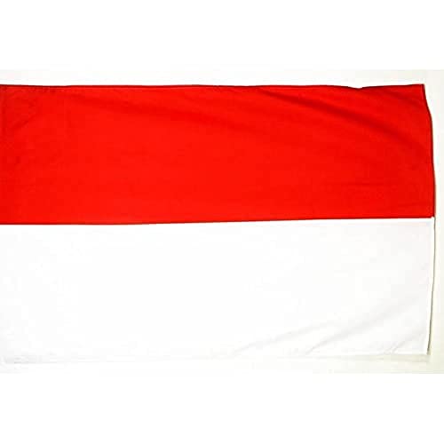 AZ FLAG, Alsace Rot un Wiss Big Flag, 5x8 Ft, French region of Alsace Large Banner with Sleeve, 100% Polyester