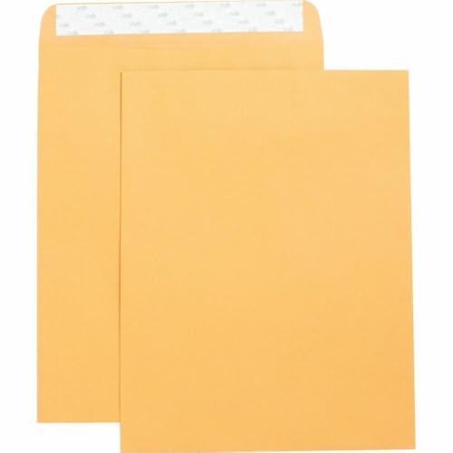 Business Source Self Adhesive Kraft Catalog Envelopes