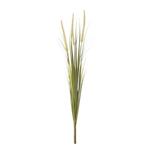 Generic Foxtail Bush (Set of 6) 28