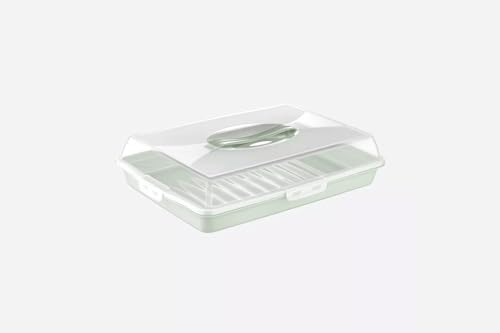 Stolmet Cake Box, Plastic Clear Cake Carrier, Reusable Storage Container for Cupcakes, Muffins or Cakes, Many Styles, Ideal for Transporting Pastries, Cake Box with Lid (Green Rectangle)