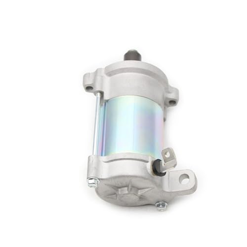 Démarreur électrique de moto 515176537 pièce rechange moteur 300F