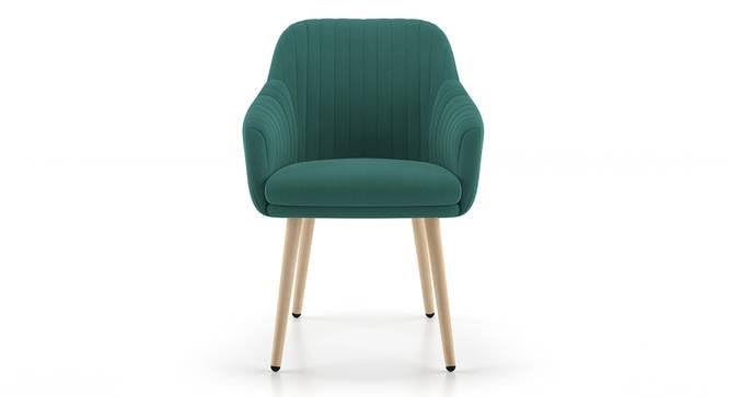 Image of Lakdi The Furniture Co Living Room Lounge Chair with Velvet Upholstery & Solid Wood Structure and Legs | Modern Accent Arm Chair for Home & Office | 5 Years Warranty | Free Assembly