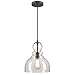 Westinghouse Lighting 6129900 Fiona Traditional One Light Indoor Pendant, Black-Bronze Finish with Highlights, Clear Seeded Glass