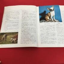 Amazon.co.jp: a-013※8 AE朝日=ラルース 週刊ペット百科 525 イヌ-13