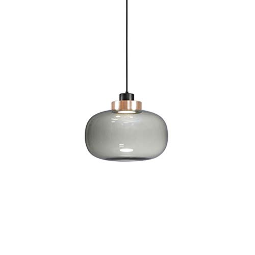 Accesorio de lámpara colgante para sala de estar de diseño globo