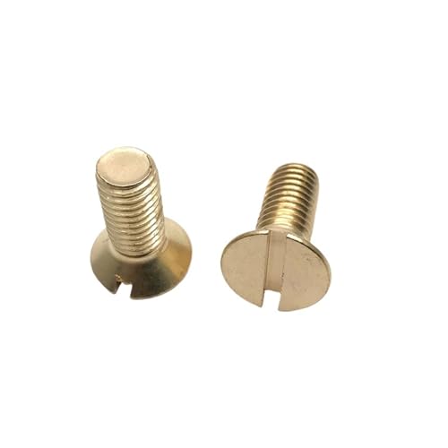 YCPIN(小さな店) DIN963 真鍮 平皿頭 スロット付きネジ M3 M4 M5(M14)