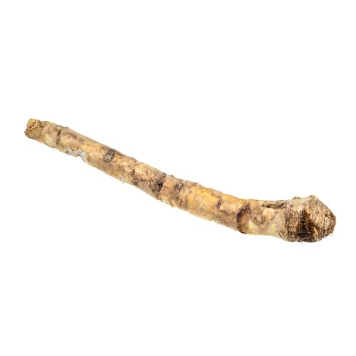 100 piezas Semillas de rábano picante Semillas de hortalizas, regalos para los amantes de la huerta. (planta de rábano picante), plantar semillas, plantas de sombra Plantas de interior,