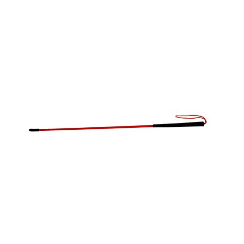 Avery Trainer's Heeling Stick for Dogs | 36