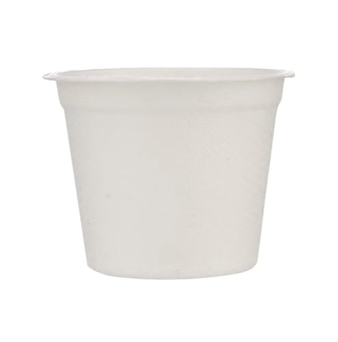 Party Warehouse 100 x Disposable White Bagasse 4oz Cups (115ml) for Espresso Coffee Hot and Cold Drinks - Eco Friendly and Compostable - Great for Serving Samples and Portions