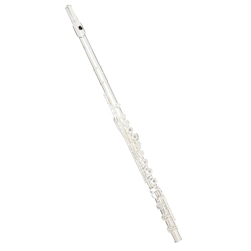 Flauta De Plata De Ley Con Teclas Chapadas En Plata, 17 Teclas, Agujeros Abiertos, Mecanismo E Dividido Con Pie B, Flauta Con Estuche Flauta Travesera Kit